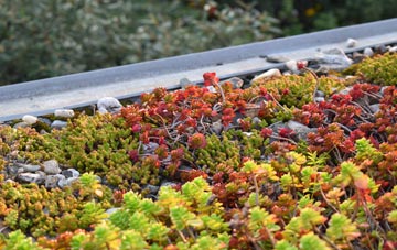the cost of Felling Shore green roof installation