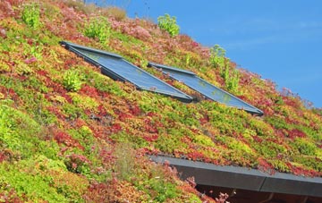 Felling Shore living roof systems